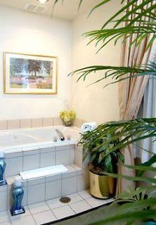 Springhill Manchester-boston Regional Airport Hotel 3*
